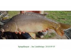 026 Jan Lindebrings 2018 09 05